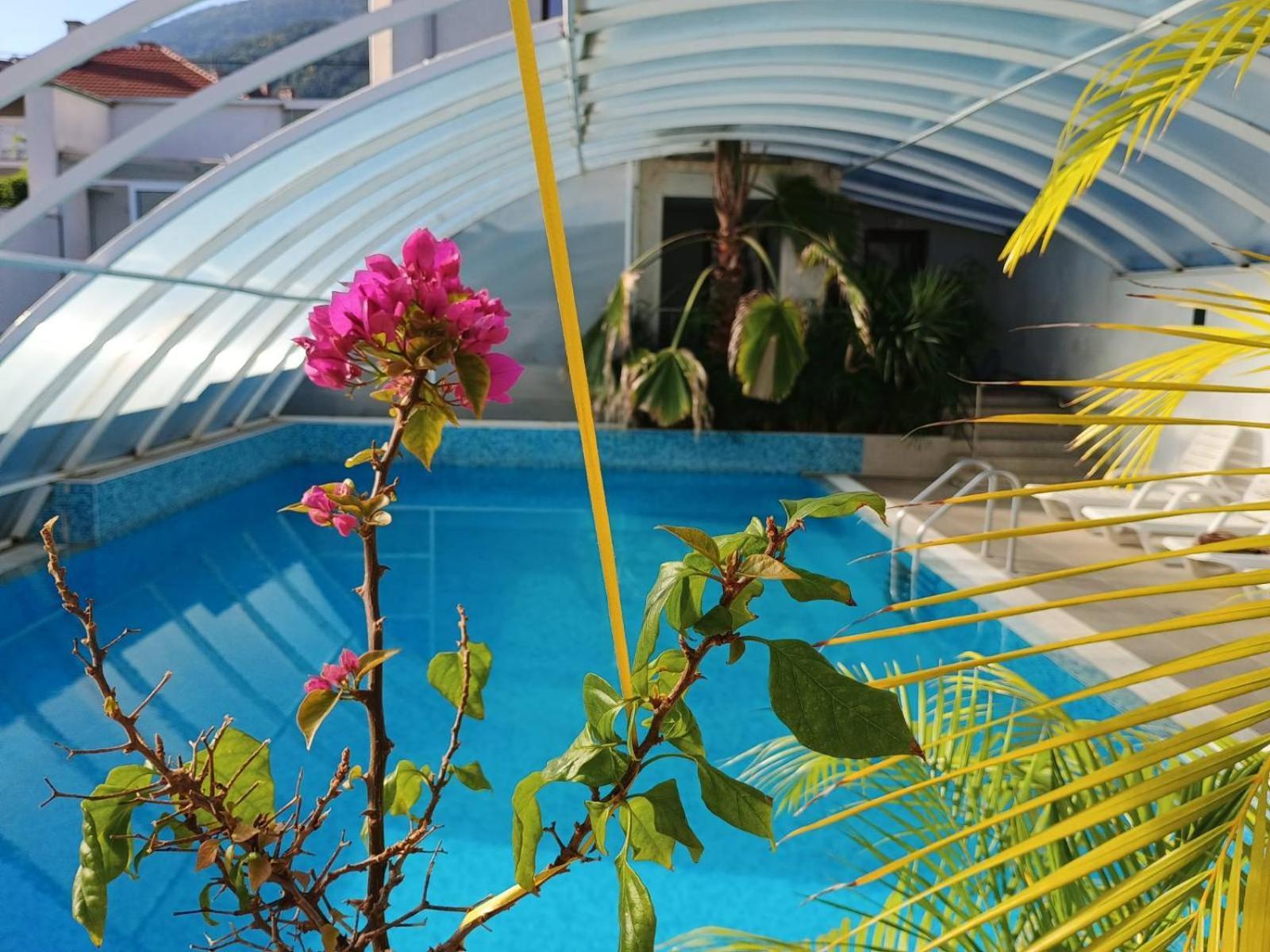 Enis Hotel С Минерален Басейн Sapareva Banya Esterno foto